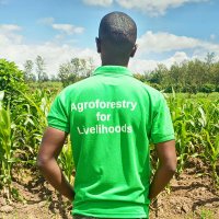 @JPaul_nsabimana (@jeanpaulnsabima) 's Twitter Profile Photo