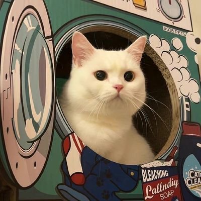 tinkerbbbel's profile picture. yapping kapal ku