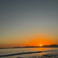 so se vive uma vez (@sosevive) 's Twitter Profile
