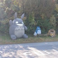 ✨さすらいの旅好き✨ (@jc441m) 's Twitter Profile