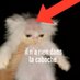 fafville hate account (@fafvillois) Twitter profile photo