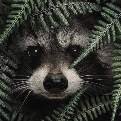 BrokeRiver's profile picture. Exploring - Finding friends | He/They | I don’t bite 🫣 🔞 imig I’ll send a pic but u gotta accept ⬇️📩