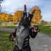 dergalderp (@graphitedergal) Twitter profile photo dergalderp (@graphitedergal) Twitter profile photo