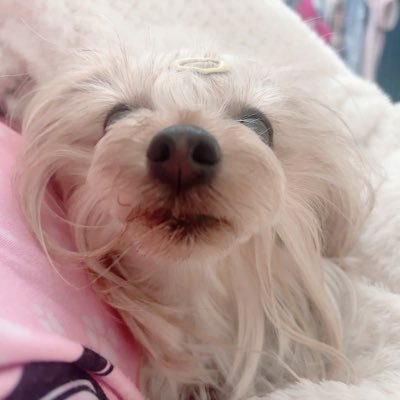 YdSC6qJWJZhZtlj's profile picture. 好きな物→下着、美容、お洋服