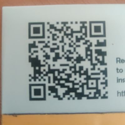 Lmonkip's profile picture. 