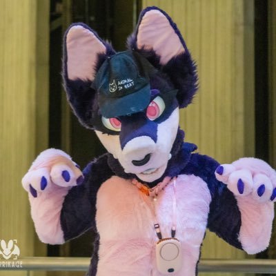 Fursuit Maker | Est. 2023 | Midwest Based 🐾 Nonbinary | 27 | Pan/Demi ✨ Commissions open — see pinned!