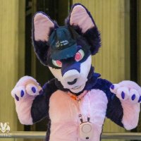 koogi (@mommakoogi) 's Twitter Profile Photo koogi (@mommakoogi) 's Twitter Profile Photo