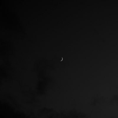 alizardasht32's profile picture. 𝙿𝚑𝚊𝚛𝚖𝚊𝚌𝚢 ⚕︎