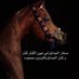 محمد (@muhamad51397846) Twitter profile photo محمد (@muhamad51397846) Twitter profile photo