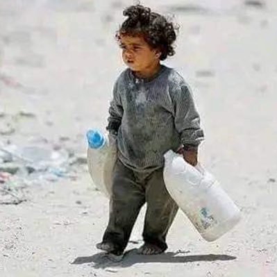 binmf's profile picture. Human