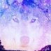 of the Wolf (@ofthewolf2) Twitter profile photo of the Wolf (@ofthewolf2) Twitter profile photo