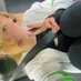 Pip (@pip54336) Twitter profile photo Pip (@pip54336) Twitter profile photo