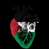 🇾🇪habib🇾🇪Mohammed (@habibyemen) 's Twitter Profile Photo