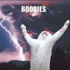 oba_yozofr's profile picture. 