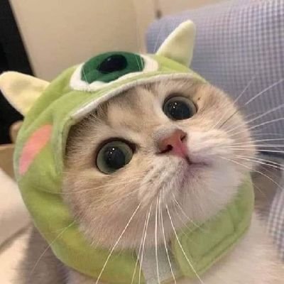 ENFJ here (d“з`d)
u can tell me anything, i'm here!
recommendation AU NCT here: https://t.co/3QJTkAhKZF