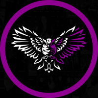 Noctem(@Noctem_Esports) 's Twitter Profile Photo