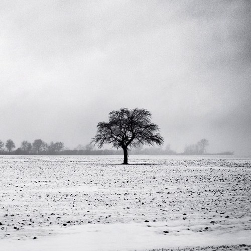 hawk87's profile picture. Create, Motivate, Innovate, Meditate, Love! :)