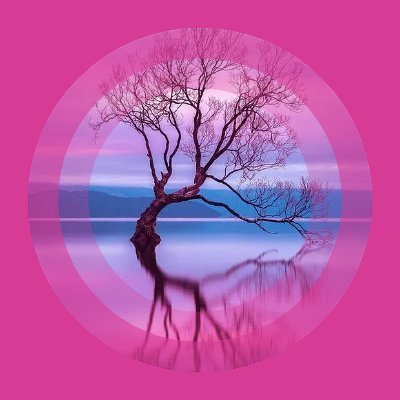 serpilcatak87's profile picture. Cyrpto  /  Validator  / Testnet  maker  .