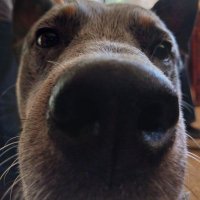 Zoon (@0thecgiguy) 's Twitter Profile