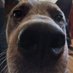 Zoon (@0thecgiguy) Twitter profile photo Zoon (@0thecgiguy) Twitter profile photo