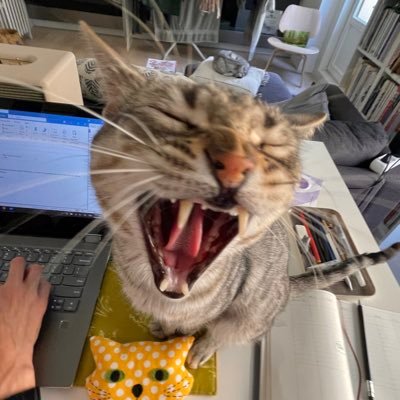 alltootsia's profile picture. “i want to be defined by the things i love”