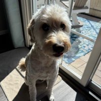 ItsDJ (@photobombchamp) 's Twitter Profile
