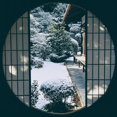 s_pcg80598's profile picture. 📝general opinion