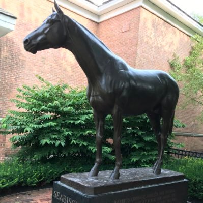 arrobisc20's profile picture. 