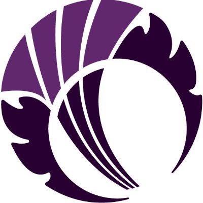 Cricket Scotland Profile