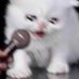 *various animal noises* (@sapph_artistry) Twitter profile photo *various animal noises* (@sapph_artistry) Twitter profile photo