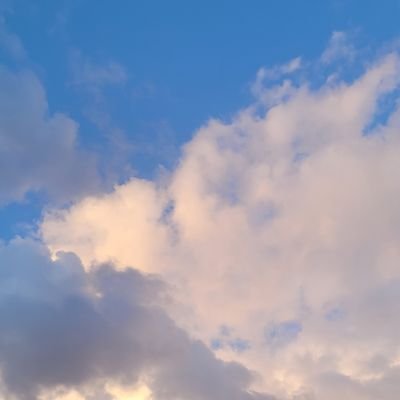 joietchocolat's profile picture. 