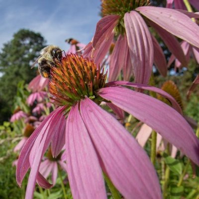 God’s son ✝️ | AI & Tech Enthusiast 🤖 | Nature Lover 🌿 Passionate about coding, innovation & the beauty of creation. Explore my projects: https://t.co/v8dUqNoHzt