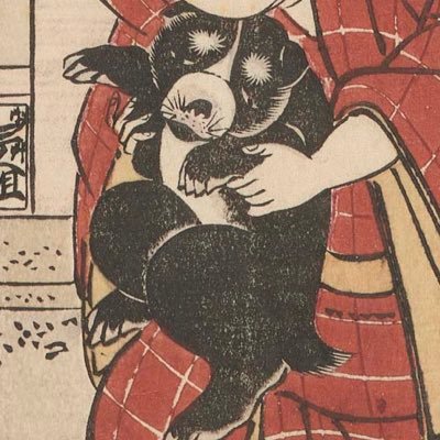 aoiscape's profile picture. 