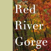 red_river_gorge's profile picture. 
