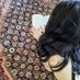 N. (@1303dump) Twitter profile photo N. (@1303dump) Twitter profile photo
