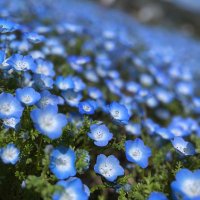 夢中 (@yumeno_naka6) 's Twitter Profile Photo