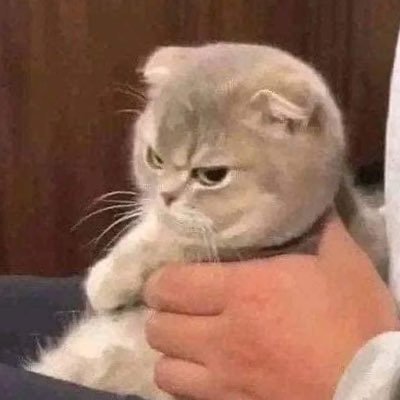 pewpeew94's profile picture. 