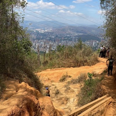 steconte3141's profile picture. 