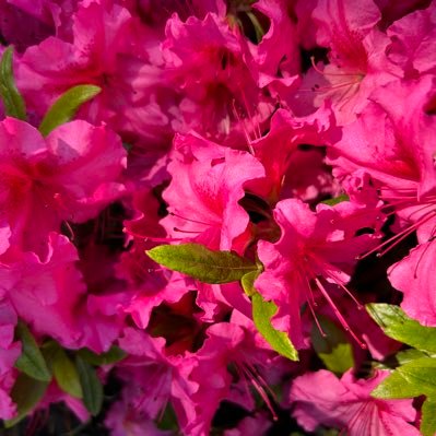 JayneKirkw59923's profile picture. 