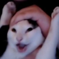 MopMarquis (@buttfireplace) 's Twitter Profile