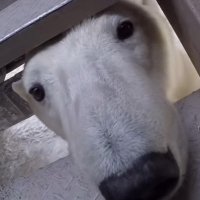 Snotty (@snottyfinga) 's Twitter Profile