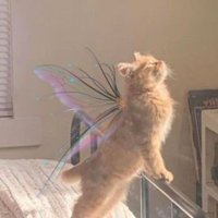 fara (@asterousfiles) 's Twitter Profile