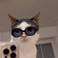 Pdrø (@imbpdro) 's Twitter Profile