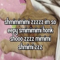 ˑ (@jyeiest) 's Twitter Profile