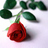 Riawrites's profile image