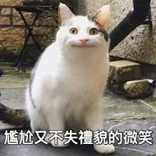 tsai5269's profile picture. 21y/175 ｜尋找有趣的人｜座標：北部