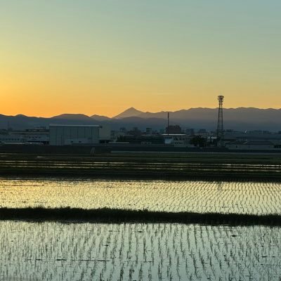 MICOMARUN's profile picture. けっこうからくち