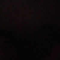 T (@t__t1246) 's Twitter Profile