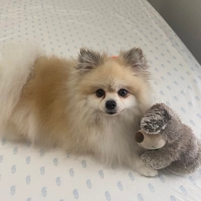 LManioba's profile picture. 