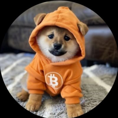 rzuzaraphaelli's profile picture. $DOG to the moon 🚀🌕 $dog army!!!